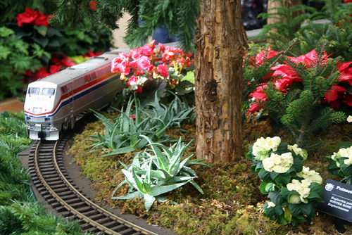 Gray-Train