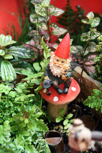 Gnome
