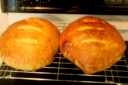Bread