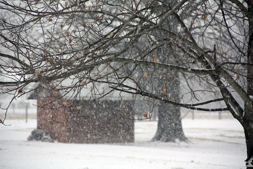 More-BIG-flakes