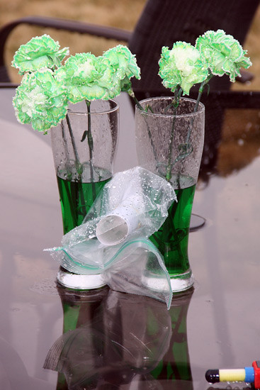 Carnations_Outside