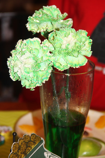 Carnations_Inside