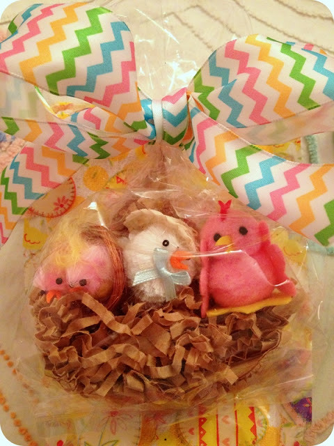 Little chicks Surprise