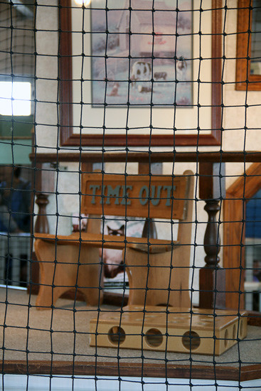 Cat-House-TIme-Out-Chair