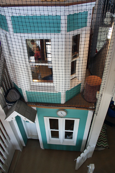 Bottom-of-cat-house