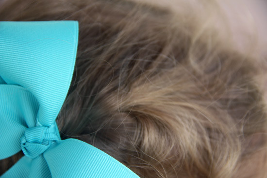 Extreme-Closeup-of-French-Braid