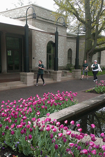 Me-Walking
