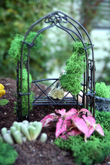 Behind-Arch