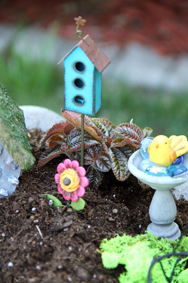 Bird-House