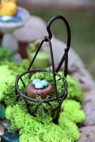Bird-Nest