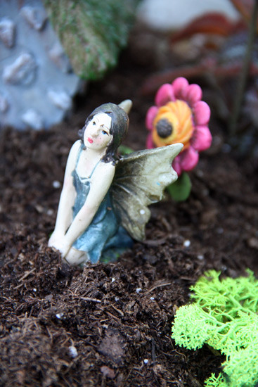 Blue-Fairy