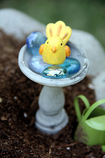 Yellow-Bird-in-Bird-Bath