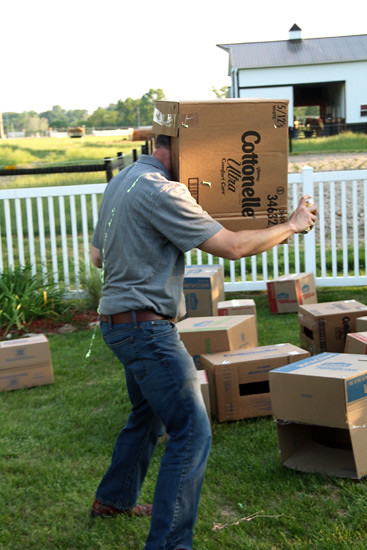 SillystringFight_Brian-head-in-box