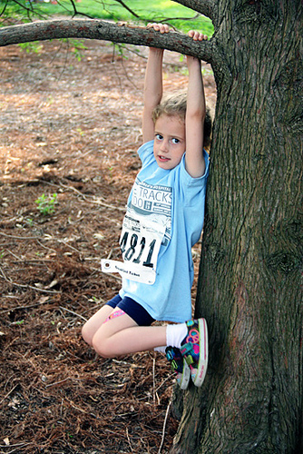 Aut-hanging-on-tree-branch