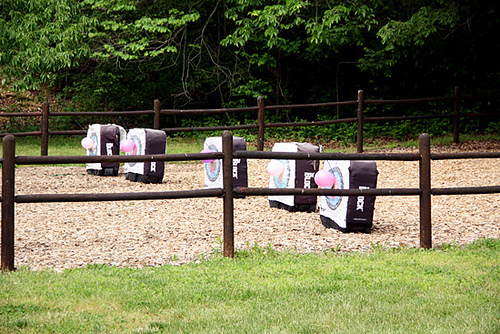 Archery_Balloons