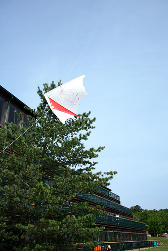 Kite_Autumns-in-air