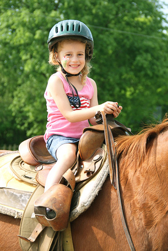 Horse_Close-Auttie