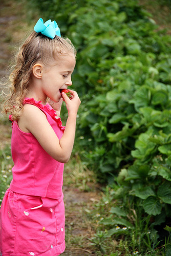 Aut_eating-strawberry-far-away