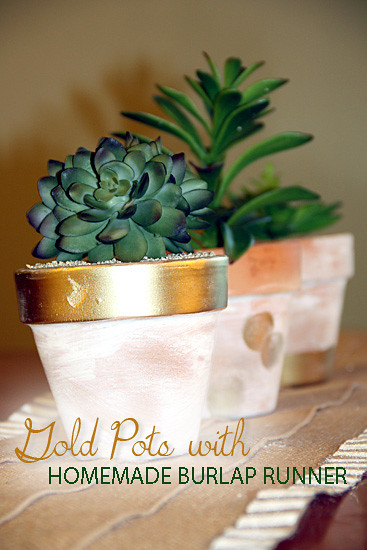 Runner_Closeup-of-Pots---Header