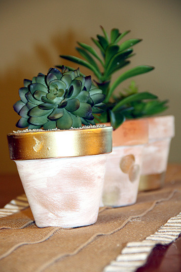 Runner_Closeup-of-Pots