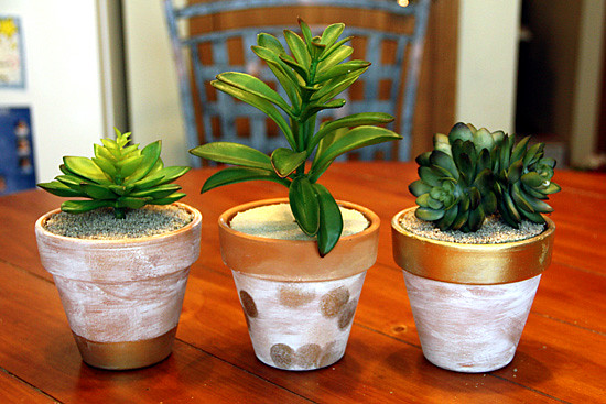 3-pots2