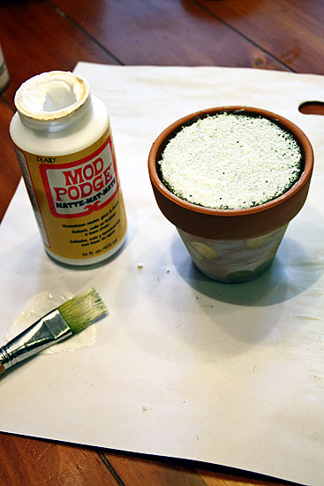Glue