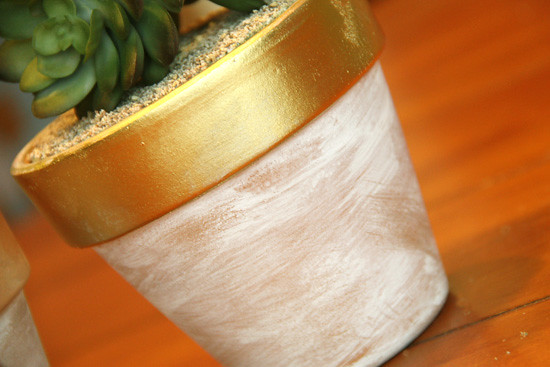 Detail_Gold-top