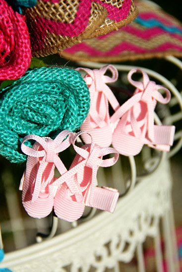 Ballet-Slippers_On-Bird-Cage