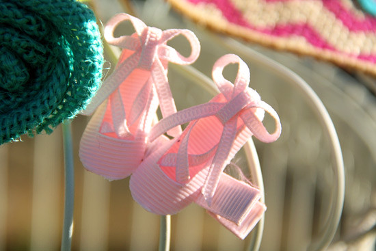 Ballet-Slippers_On-Bird-Cage2