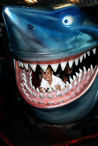 Shark