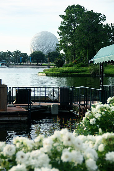 Epcot-Ball-Flowers