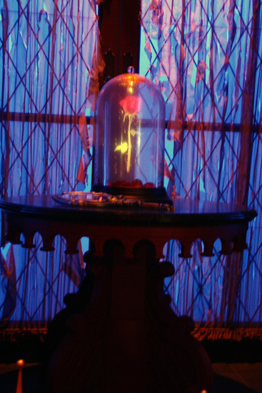 Be-Our-Guest_Rose