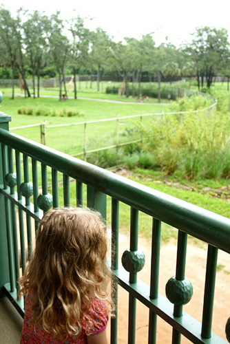 AKL_Autumn-looking-out-balcony