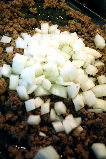 Hamburger-and-Onion