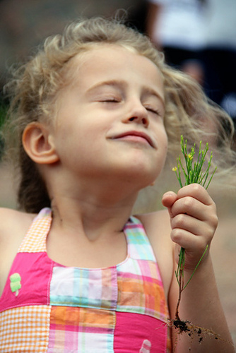 ER_Aut-smelling-flower