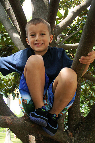 Nat-in-Tree