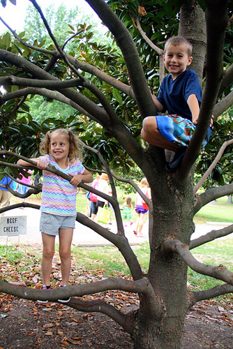 Nat-and-Aut-in-Tree