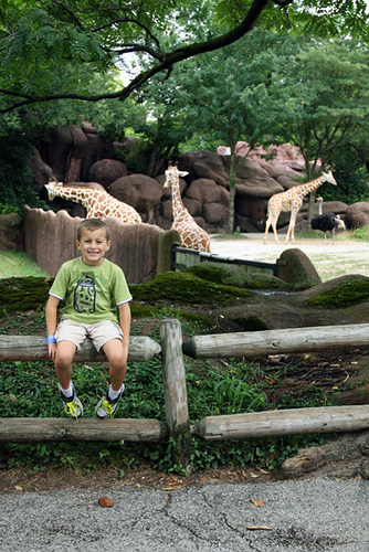 Nathan-by-giraffes