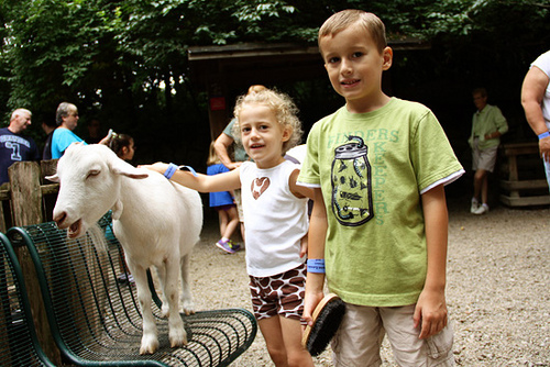 Goats_Nat-and-Aut