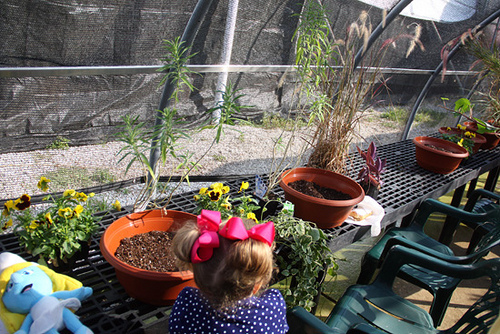 their-plants-they-picked