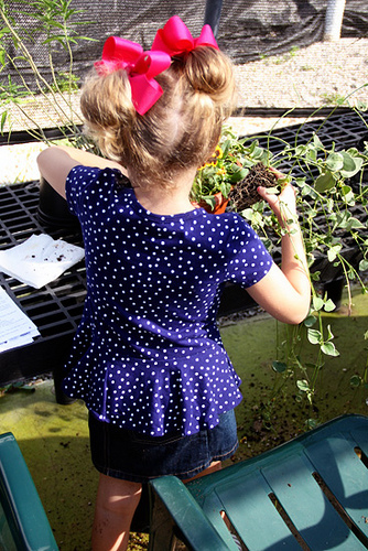 Putting-flowers-in-pot_Aut