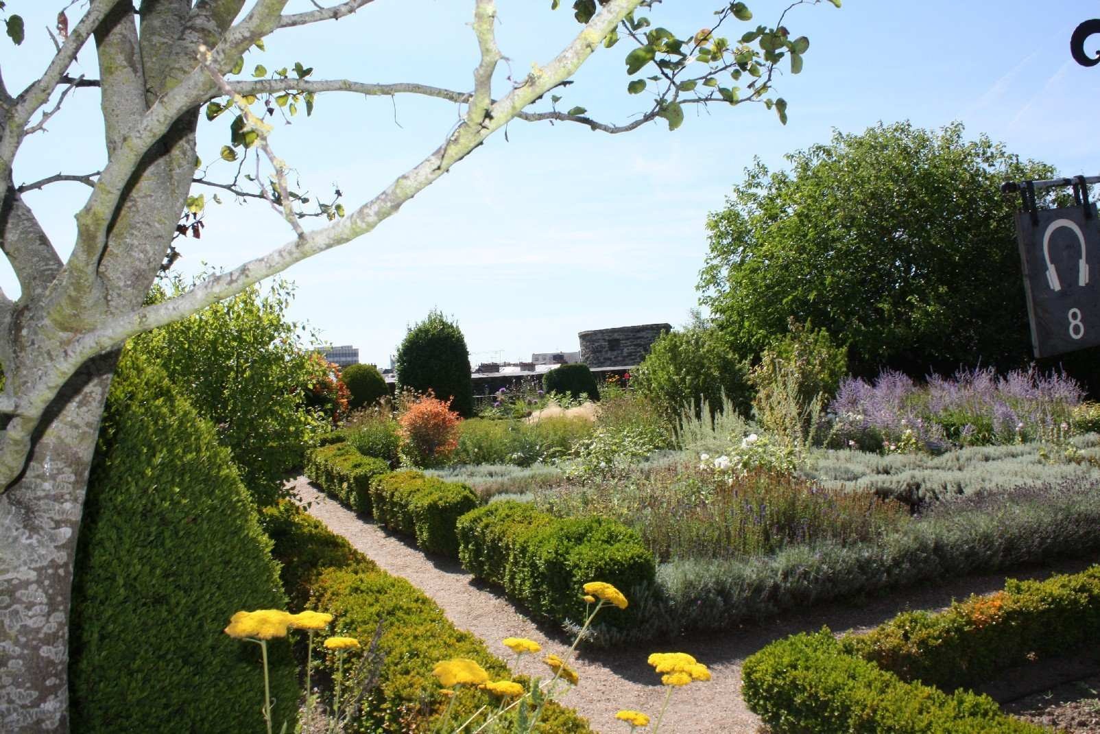 Wild-garden